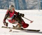 Паралимпийские лыжника в слаломе конкуренции